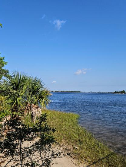 Beneath a mostly clear blue sky, a wide river reflects back blue from the bright sunny day. The shoreline is a mix of grass, reeds, sand, and overgrowth.