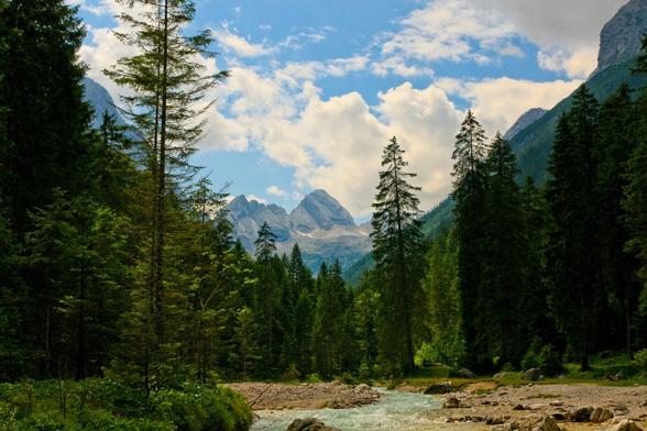 Reintal: Eine malerische Landschaft mit hohen Nadelbäumen, einem wilden Bergbach im Vordergrund und majestätischen Bergen (Zugspitzmassiv) im Hintergrund unter einem teilweise bewölkten Himmel. Farbtemperatur (warm) und Sättigung (dezent überzogen) erinnern an altmodische Urlaubsfotos.