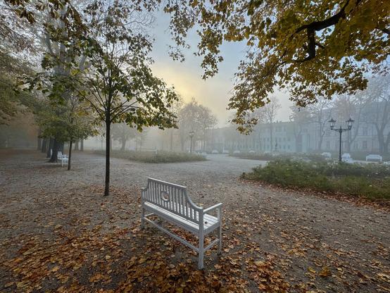 The image depicts a peaceful park scene on a foggy day. There are several trees with leaves that have fallen to the ground, suggesting autumn. A white bench is positioned in the foreground, facing a gravel path that leads into the distance. The background features buildings partially obscured by the fog, and street lamps are visible along the path. The atmosphere is serene and tranquil.