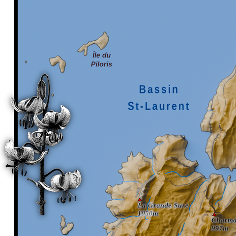 carte du massif de la Chartreuse, avec un niveau simulé de la mer 870 mètres au-dessus du niveau actuel. Les terres émercées sont dans les tons ocres. Détail.