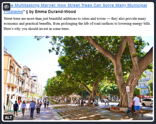 "...North American cities today are in big trouble financially. The money they spend has to stretch as far as possible, and the multipurpose nature of trees fits that bill. In addition to the benefits I’ve mentioned here, plentiful research has found that street trees have a positive effect on traffic calming, boost spending in retail areas, and encourage walking and biking.

If you'd like to see more street trees in your town or city, lead with economic arguments and examples of the practical, easy-to-grasp infrastructure benefits that urban trees deliver.

Planting and maintaining street trees is an investment, but it’s one that pays for itself over and over again. Cities around the world are starting to calculate the economic value of their urban forests, a task made feasible with [3D modeling software.]

And more research is finding that trees pay for themselves many times over..."

Read the article: https://www.strongtowns.org/journal/2024/8/8/the-multitasking-marvel-how-street-trees-can-solve-many-municipal-problems