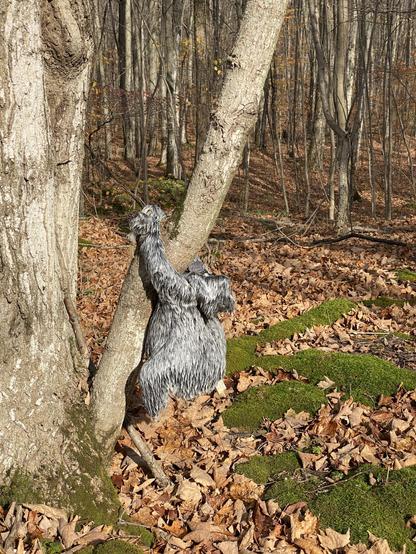 A weathered, mouldy looking sloth stuffy clings to a tree in a forest.