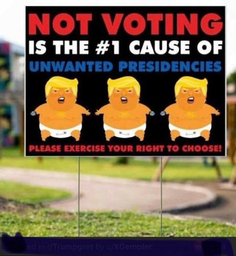 Picture of Don-old tRump in diapers with the statement "Not voting is the #1 cause of unwanted presidencies"