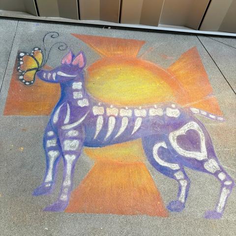 Vibrant sidewalk chalk art of a purple dog with a skeleton drawn on it. A monarch butterfly is on its nose and the sun is behind it.