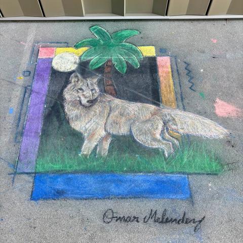 Sidewalk chalk art of a wolf standing in front of a palm tree.