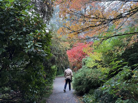 My boyfriend walking in front of me on a path amongst trees in various colors