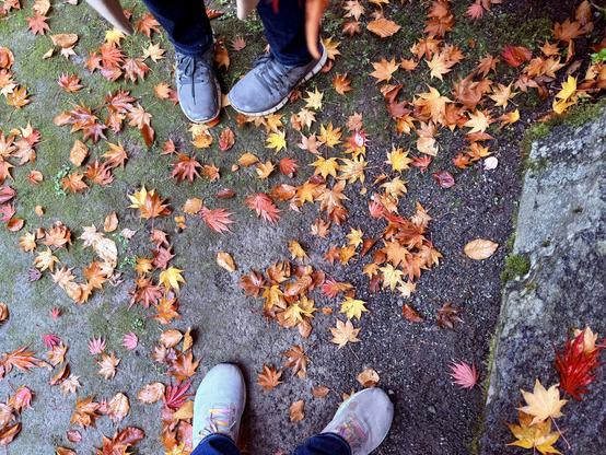 Looking down at fallen maple leaves on the ground with my shoes and my boyfriend’s shoes in the shot
