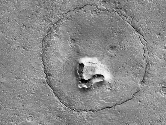 une-tete-d-ours-sur-mars