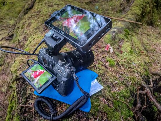 Fuji camera with field monitor sat on sandbag set up for capturing mushroom photo