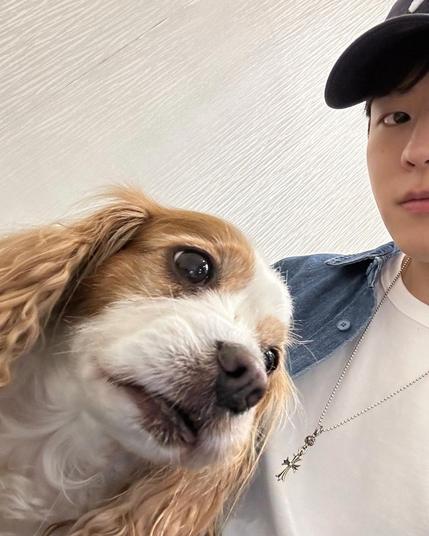 Seungmin wearing a necklace with the round flower cross symbol, plus another flared cross similar to the 3-cross pendant that Bang Chan is wearing in the previous photo. Also Bang Chan's elderly spaniel Berry, looking too good for this world