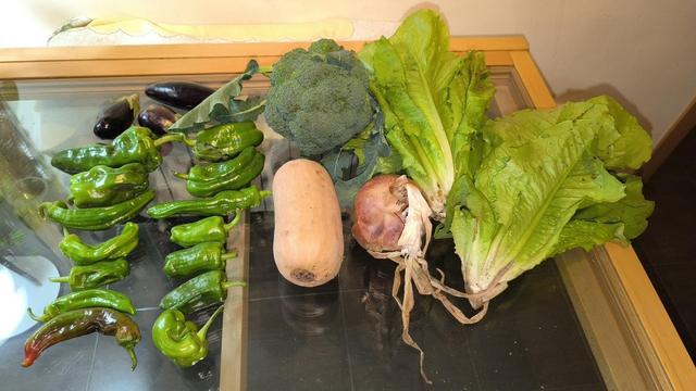Foto de contenido de la cesta semanal sobre una mesa de cristal.
A la izquierda, pimientos y berenjenas.
En el centro, una calabaza cacahuete, una cebolla gorda. Y un brócoli.
Y a la derecha, un par de lechugas grandes.