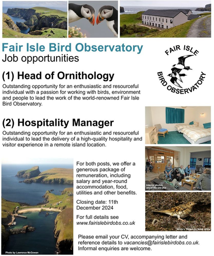 Fair Isle Bird Obsercatory
Job Opportunities
(1) Head of Ornithology
Outstanding opportunity for an enthusiastic and resourceful individual with a passion for working with birds, environment and people to lead the work of the wold-renowned Fair Isle Bird Observatory.

(2) Hospitality Manager
Outstanding opportunity for an enthusiastic and resourceful individual to lead the delivery of a high-quality hospitality and visitor experience in a remote island location.

For both posts we offer a generous package of remuneration, including salary and year-round accommodation, food, utilities and other benefits.

Closing date: 11th December 2024

For full detail see www.fairislebirdobs.co.uk

Please email your CV, accompanying letter and reference details to vacancies@fairislebirdobs.co.uk. Informal enquiries are welcome.