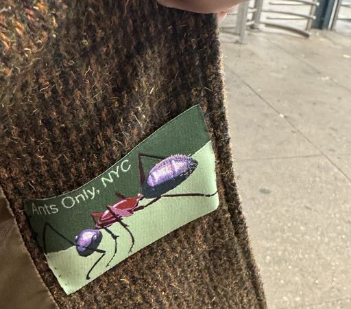 Drawing based on one of my photos of a wild carpenter ant at my mom’s farm. The ant is red and black on a green background rendered in embroidery.  This label has been sewn into the lapel of my tweed jacket. It has the text “Ants Only, NYC”