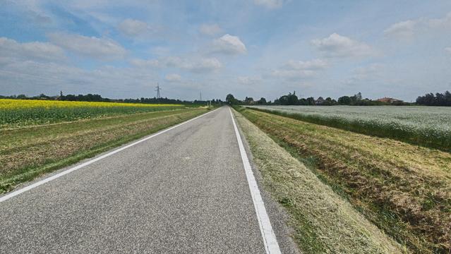 Giallo colza, grigio asfalto, bianco coriandolo in una giornata di primavera...

The image shows a straight rural road surrounded by fields. On the left, there's a field with yellow rapeseed, and on the right, a field with white coriander. The sky is partly cloudy, and there's open countryside in the distance.
