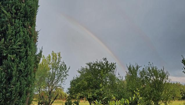 Due arcobaleni al prezzo di uno... 

The image shows a natural scene with a variety of trees in the foreground and a double rainbow in the sky. The weather appears to be cloudy.
