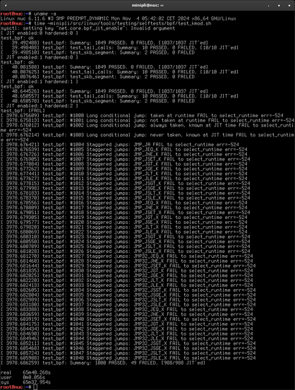 Vanilla 6.11.6 Linux kernel eBPF selftest results: 65m40s