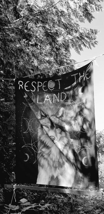 Monochrome photo.
Banner with a wolf on it, hung from cedar trees at a blockade. It says: RESPECT THE LAND