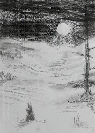 Moon Snow Rabbit. Charcoal drawing.
The moon on snow with a rabbit in the foreground, at night.
