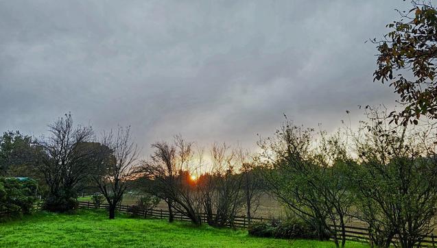 L'alba, adesso...

The image shows an outdoor landscape with a grassy area in the foreground. There are several leafless trees silhouetted against a sunrise, which is partially hidden behind the clouds. A wooden fence runs across the scene, and the sky is overcast with a mix of dark and lighter clouds.