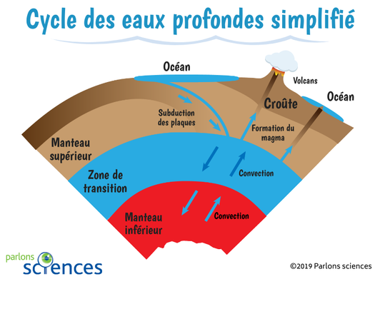 Hypothèse du cycle des eaux profondes simplifié [source parlons science]
https://parlonssciences.ca/ressources-pedagogiques/les-stim-expliquees/la-ringwoodite-et-le-cycle-des-eaux-profondes