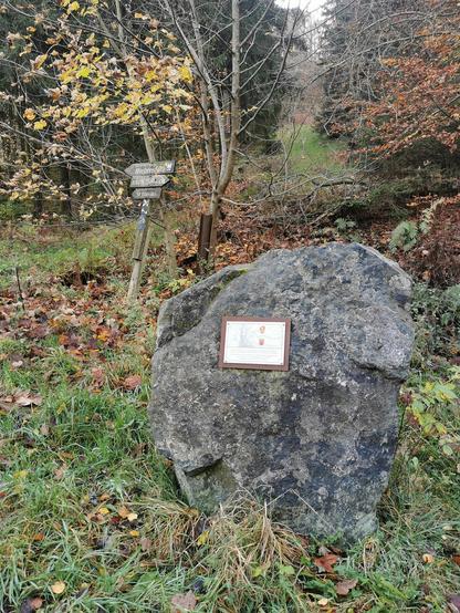 Ein großer Stein mit Erklärtafel auf einem Wiesenstück im Wald. Links davon ein hölzerner Wanderwegweise. Hinter dem Stein führt eine Schneise steil bergauf.