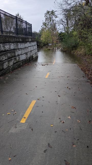 Paved bike trail goes under road bridge, and is flooded by the creek