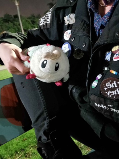 A person, photographed with face out of view, in a park wearing a black battle jacket holding a small Squishable luna moth plush.