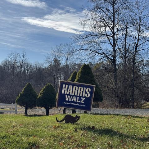 Square format photo of yard with official Harris-Walz campaign sign with black metal cat silhouette below. Trees bare of leaves form horizon with a couple conical firs in mid ground.