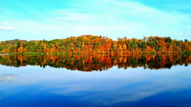 A strip of autumn trees with blue sky above reflected in the mirror-calm waters of a reservoir.