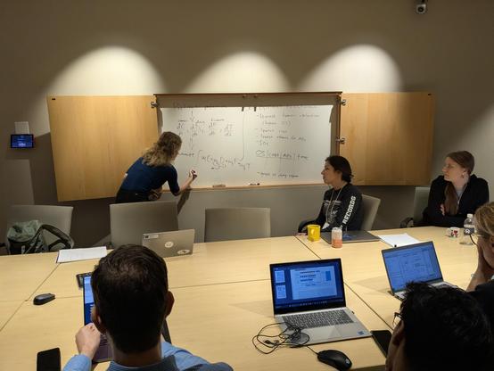 Discussing around the board
