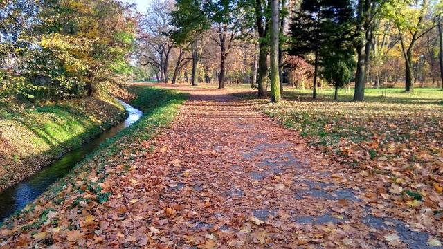 Alejka w parku us艂ana pomara艅czowymi li艣膰mi, z lewej kana艂 z wod膮, z prawej strony park z drzewami.