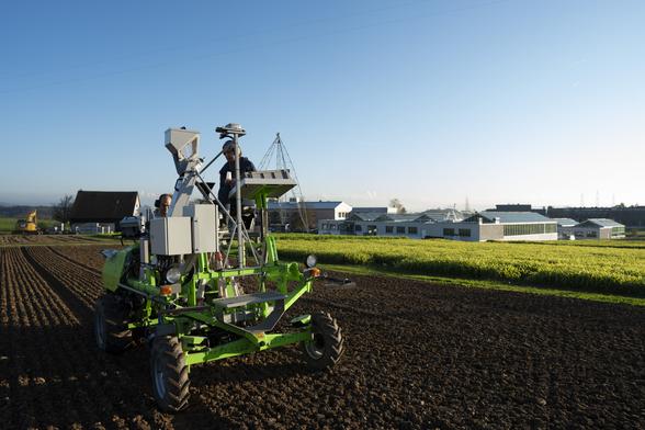 Afef and Simon sowing the 9-row plots.