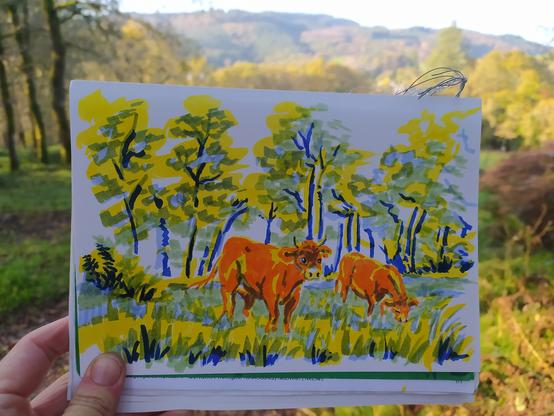 photo d'un croquis aux feutres de 2 vaches limousines dans un champ