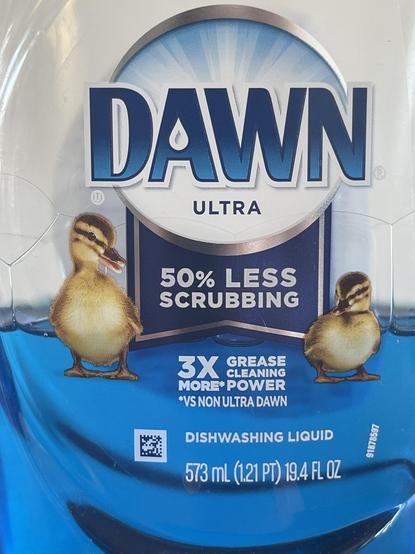 Snapshot of iconic Dawn dish soap bottle featuring fluffy yellow ducklings