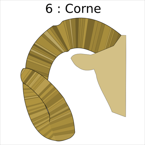 A vector drawing of an ibex horn