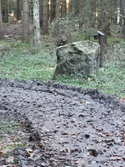Grenzstein an einem schlammigen Waldweg