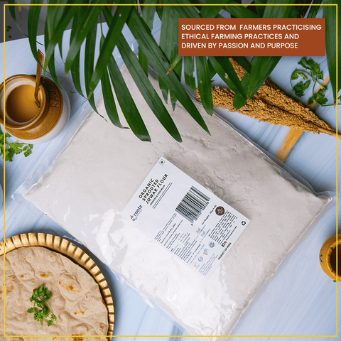 Organic Sprouted Flour