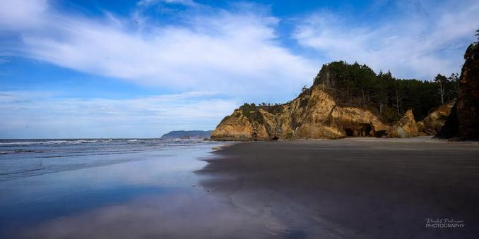 A flat sand Pacific beach on the Oregon coast with rock bluffs and pine trees under blue skies with white clouds.