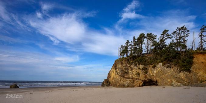 A rock outcropping covered on top by tall trees just into a pacific coast beach, almost reach the water.