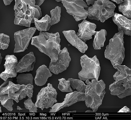 SEM image of recently erupted volcanic ash