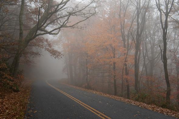 Das Foto zeigt eine Straße, die sich durch einen herbstlichen Wald windet.  Der Wald ist in dichten Nebel gehüllt, der die Bäume in der Ferne verschwimmen lässt und eine geheimnisvolle Atmosphäre schafft. Die Straße verläuft in einer sanften Kurve nach links und verschwindet im Nebel.

Im Vordergrund sind die Farben des Herbstlaubs zu sehen, das in verschiedenen Gelb- und Brauntönen leuchtet.  Einige Blätter liegen bereits auf der Straße und am Straßenrand. Die Bäume links und rechts der Straße sind hoch und dicht, ihre Äste ragen über die Straße und bilden ein Blätterdach.
Die Straße selbst ist asphaltiert und hat eine durchgezogene gelbe Linie in der Mitte. Sie wirkt verlassen und ruhig.
Insgesamt vermittelt das Foto einen Eindruck von Ruhe und Melancholie. Die herbstliche Stimmung wird durch den Nebel und die gedämpften Farben verstärkt. Es wirkt fast so, als ob die Straße in eine unbekannte Welt führt.