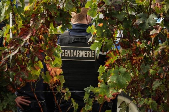 Gendarme de dos au milieu des feuilles d{un arbre.