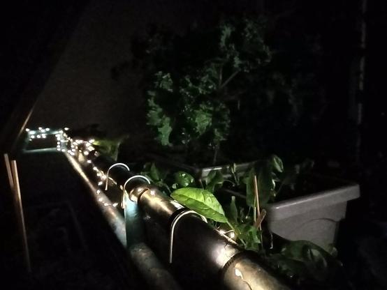 Ein Balkongeländer ist von kleinen Lichterketten erleuchtet, die einen warmen Schein in der Dunkelheit erzeugen. Am Geländer hängen Pflanzkästen mit verschiedenen grünen Pflanzen, darunter auch Blattgemüse. Im Hintergrund sind weitere Lichter sichtbar, die den Balkon entlangführen und eine gemütliche Atmosphäre schaffen. Die Umgebung ist dunkel, sodass die Pflanzen und Lichterketten besonders hervorstechen.