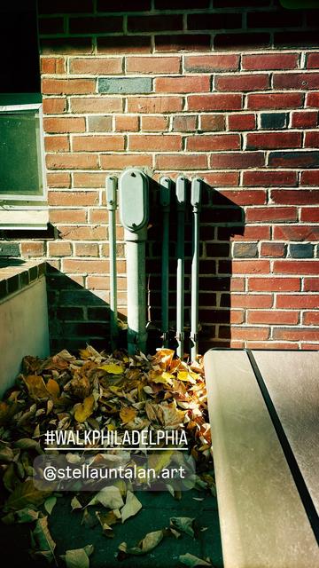 A brick wall in the background. Five vertical conduit pipes and one is as big as three others combined. A mound of fallen leaves yellow and brown cover the ground in front of them.