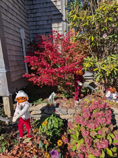 Pumpkin-headed figures stand in a yard's Halloween display.