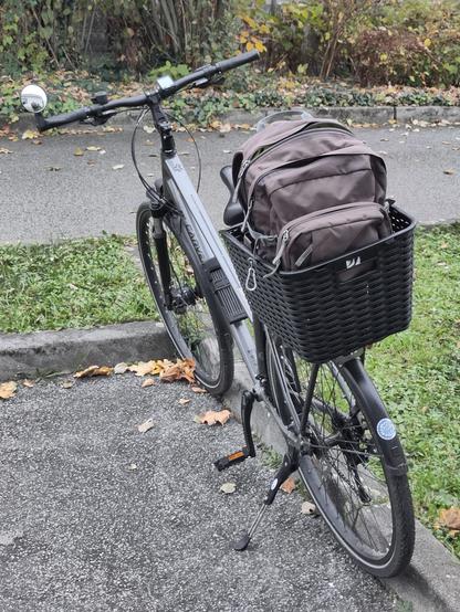 Fahrrad im gesamten, mit "frostpendeln" Aufkleber
(gewöhnliches Tourenrad)