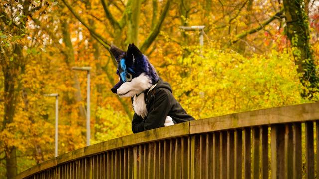 A photography showing a bridge with a fursuiter on it from below and in front of some colorful trees and brushes in the background. The fursuiter is portrayed from the side, how he's leaning on the rail of the bridge with his arms crossed.