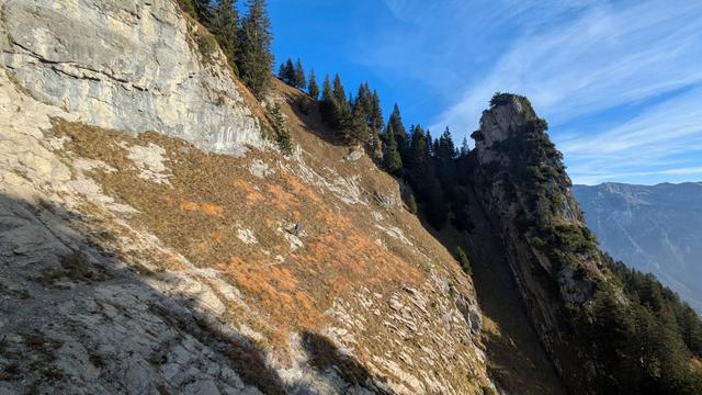 Aufstieg zum Wiggis