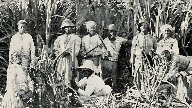 Cuban slave workers
