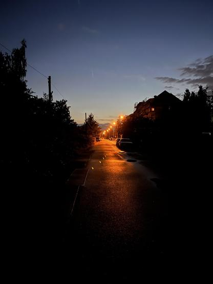 Eine ruhige Straßenszene in der Abenddämmerung, beleuchtet von Straßenlaternen mit Reflexionen auf einer nassen Fahrbahn. Dunkle Silhouetten von Bäumen und Gebäuden sind vor einem verblassenden blauen Himmel zu sehen.